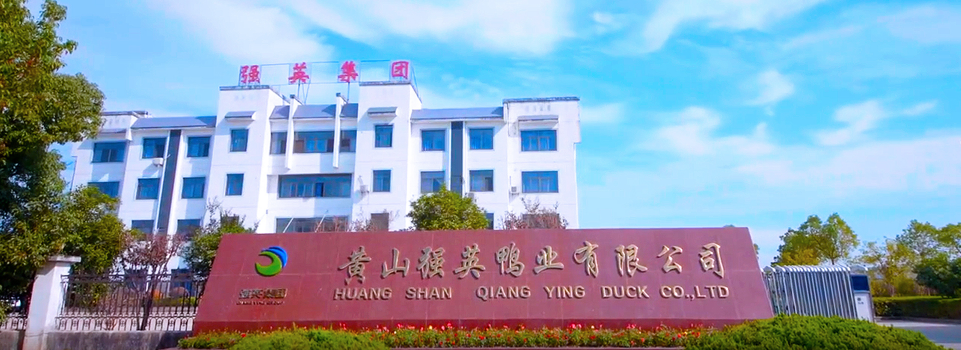 1622777166472015.jpg banner7.jpg