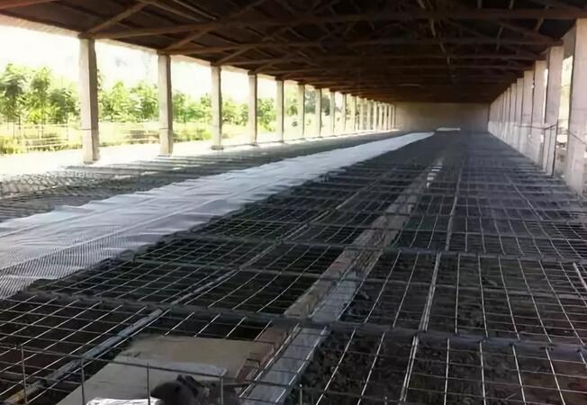 水禽養(yǎng)殖有哪些新技術(shù),經(jīng)濟(jì)效益怎樣?如何挑選適合的水禽養(yǎng)殖品種